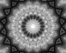 VANDALA Monochrome B250 x H200 cm